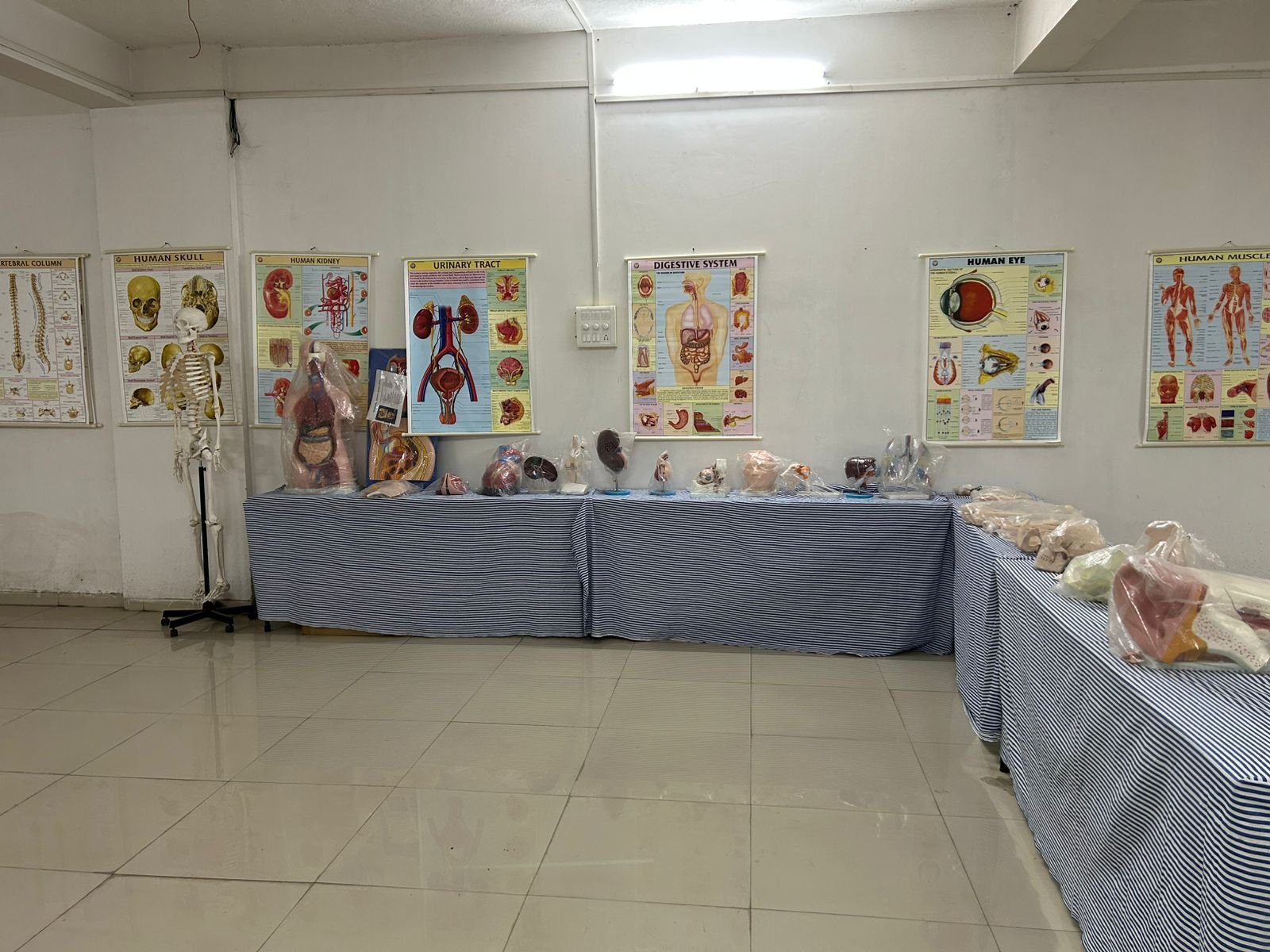 college activities photo 7