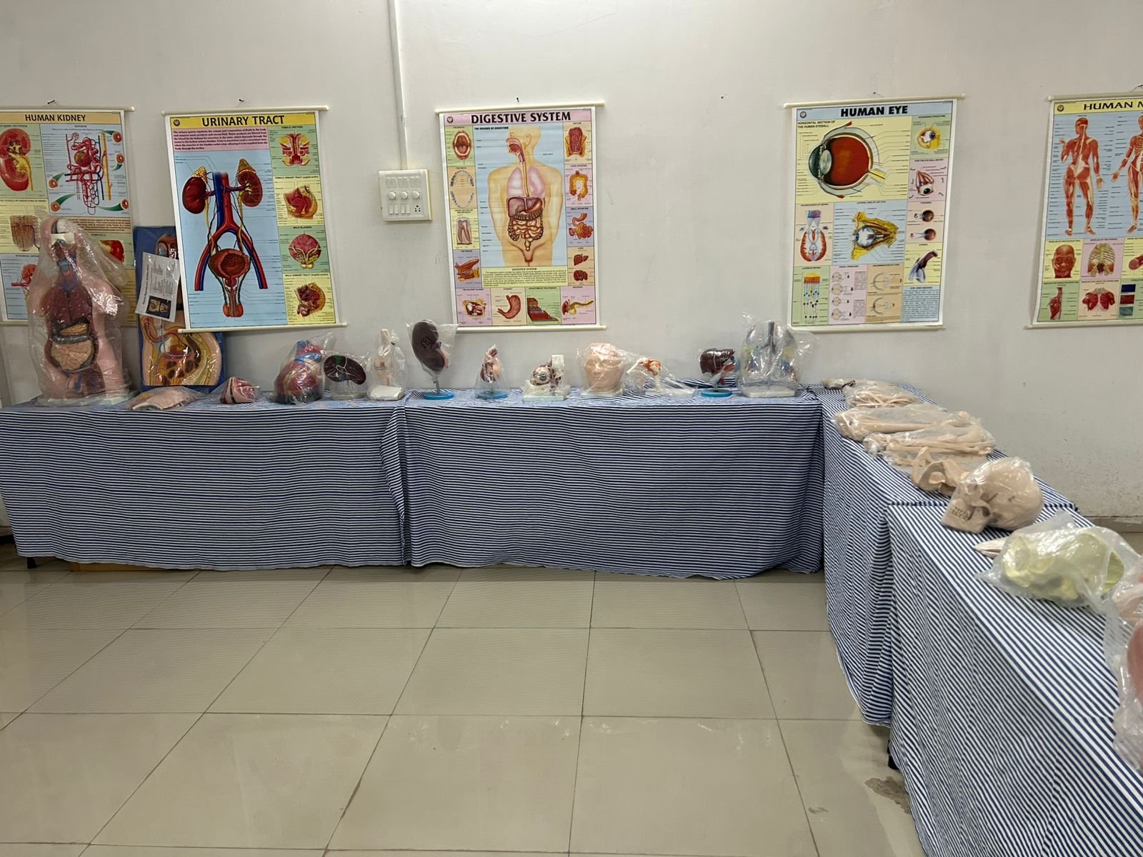Pre-Clinical Lab