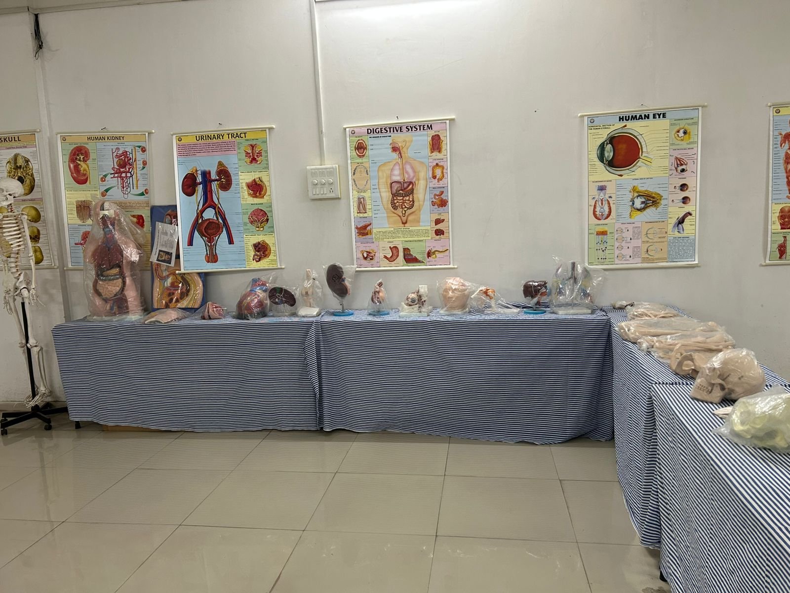 Clinical Simulation